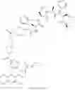 Fig. 123 - TARGETED THERAPEUTICS