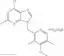 Fig. 15 - TARGETED THERAPEUTICS