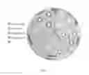 Fig. 08 - Topical Compositions And Methods For Treating Wounds