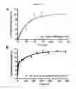 Fig. 11 - MULTIFUNCTIONAL BIODEGRADABLE PEG NANOCARRIER-BASED HYDROGELS FOR PREVENTING HIV TRANSMISSION