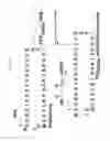 Fig. 18 - MULTIFUNCTIONAL BIODEGRADABLE PEG NANOCARRIER-BASED HYDROGELS FOR PREVENTING HIV TRANSMISSION