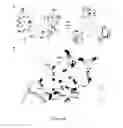 Fig. 04 - Probiotic function of human intelectin