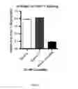 Fig. 05 - Probiotic function of human intelectin