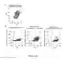 Fig. 23 - Probiotic function of human intelectin