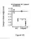 Fig. 17 - COMPOSITIONS AND METHODS OF REGULATING BONE RESORPTION