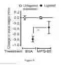 Fig. 28 - COMPOSITIONS AND METHODS OF REGULATING BONE RESORPTION