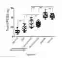 Fig. 42 - COMPOSITIONS AND METHODS OF REGULATING BONE RESORPTION