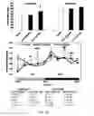 Fig. 08 - Methods of treatment using a pentapeptide derived from the C-Terminus of Glucagon-Like Peptide 1 (GLP-1)