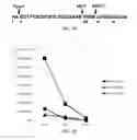 Fig. 16 - Methods of treatment using a pentapeptide derived from the C-Terminus of Glucagon-Like Peptide 1 (GLP-1)
