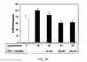 Fig. 19 - Methods of treatment using a pentapeptide derived from the C-Terminus of Glucagon-Like Peptide 1 (GLP-1)