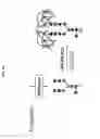 Fig. 03 - GLYCOPEGYLATED FACTOR IX