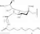 Fig. 55 - GLYCOPEGYLATED FACTOR IX