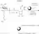 Fig. 76 - GLYCOPEGYLATED FACTOR IX
