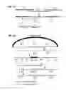 Fig. 02 - VACCINES COMPRISING HEAT-SENSITIVE TRANSGENES