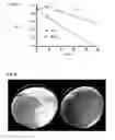Fig. 08 - VACCINES COMPRISING HEAT-SENSITIVE TRANSGENES
