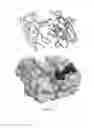 Fig. 08 - NEUTRALIZING MOLECULES TO VIRAL ANTIGENS