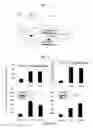 Fig. 02 - INDUCTION OF IMMUNE RESPONSE