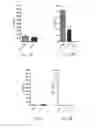 Fig. 17 - RNA vaccines