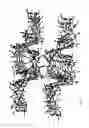 Fig. 12 - Uptake of pharmaceuticals within cyclodextrin-based porous materials