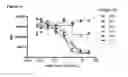 Fig. 10 - HUMAN ANTIBODY DRUG CONJUGATES AGAINST TISSUE FACTOR