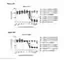 Fig. 14 - HUMAN ANTIBODY DRUG CONJUGATES AGAINST TISSUE FACTOR