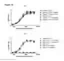 Fig. 23 - HUMAN ANTIBODY DRUG CONJUGATES AGAINST TISSUE FACTOR