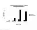 Fig. 33 - Methods for vas-occlusive contraception and reversal thereof