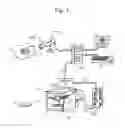 Fig. 02 - AUTO-GRAFTING