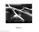 Fig. 03 - Bone matrix compositions having nanoscale textured surfaces