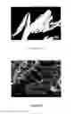 Fig. 06 - Bone matrix compositions having nanoscale textured surfaces