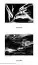Fig. 07 - Bone matrix compositions having nanoscale textured surfaces