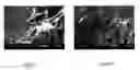Fig. 09 - Bone matrix compositions having nanoscale textured surfaces