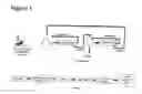 Fig. 02 - Decellularized small particle tissue product
