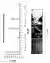 Fig. 23 - Biodegradable scaffolds