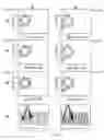 Fig. 33 - Biodegradable scaffolds
