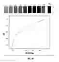 Fig. 41 - Biodegradable scaffolds