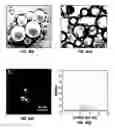 Fig. 45 - Biodegradable scaffolds