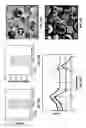 Fig. 46 - Biodegradable scaffolds