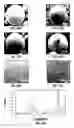 Fig. 53 - Biodegradable scaffolds