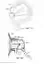 Fig. 11 - Apparatus and methods to create posterior compression at the breast during expression of breast milk