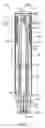 Fig. 02 - Needle assisted injection device having reduced trigger force