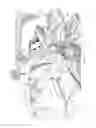 Fig. 04 - Remote respiratory therapy device management