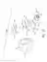 Fig. 09 - Modular patient interface device with chamber and nasal pillows assembly