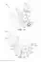 Fig. 10 - Modular patient interface device with chamber and nasal pillows assembly