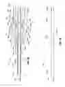 Fig. 04 - Needle devices with dual diameter cannula and related methods