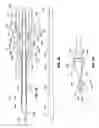 Fig. 05 - Needle devices with dual diameter cannula and related methods