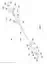 Fig. 03 - OCCLUSION PERFUSION CATHETER