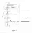 Fig. 06 - CATHETER AND SHUNT SYSTEM INCLUDING THE CATHETER