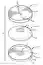 Fig. 01 - Adjustable, astable seat for increasing the use of a user's core muscles while exercising