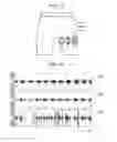 Fig. 12 - MUSCLE ACTIVITY AMOUNT DETERMINING DEVICE, MUSCLE ACTIVITY AMOUNT DETERMINING METHOD, RECORDING MEDIUM, AND METHOD
